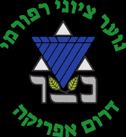 netzer_southafrica netzer progressivejudaism netzersouthafrica GIF