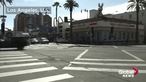Los Angeles GIF