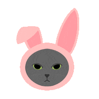fluffybydesign cat bunny rabbit zodiac Sticker