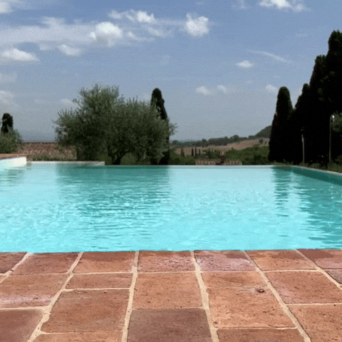 Hey You Hello GIF by Pit Viper