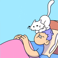 Wake Up Cat GIF by doodles