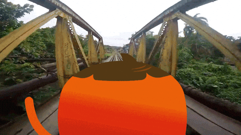 idamega giphyupload colombia cali calico GIF