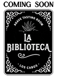 Labiblioteca Sticker by Hiltonloscabos