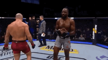 ufc 232 sport GIF by UFC