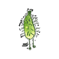 Seedfarmersmarket Sticker by SEEDORGHK