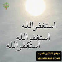 Islam Arabic Language GIF by VeganArabs