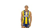 Volleyball Melissa Sticker by Fenerbahçe Voleybol