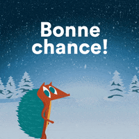 LoterieNationaleLoterij loterie nationale nationale loterij bonne chance de fin dannée feestige geluksdagen GIF