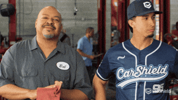 New York Wtf GIF by CarShield