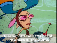 ren and stimpy nicksplat GIF