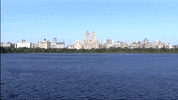 new york nyc GIF