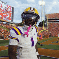 College Football Celebration GIF by LSU Tigers