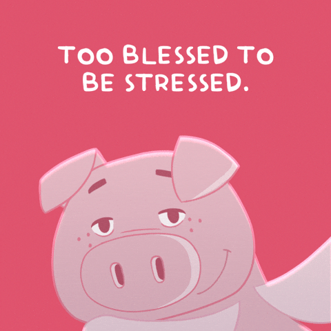 Stressed Flying Pig GIF by PositivelyPigasus