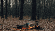 Sport Harden GIF by MEDIUMQUALITYPRODUCTION