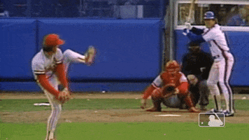 Ny Mets Mlb GIF by New York Mets