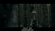 Shadow And Bone GIF by Signature Entertainment