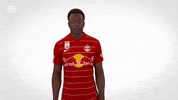 Think Red Bull GIF by FC Red Bull Salzburg