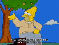 season 6 episode 25 GIF