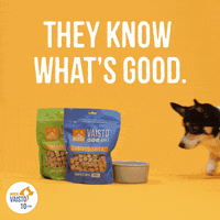 Hungry Dogs GIF by MUSHbarf