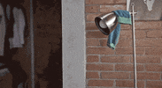 dog jump GIF by Ariel Victor