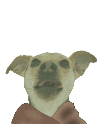 Baby Yoda Dunkin Sticker by Simple & Sentimental