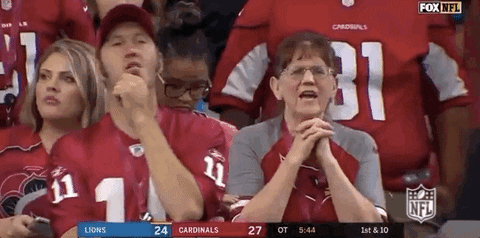 Regular Season Football GIF by NFL