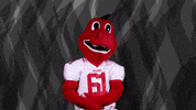 come at me bring it GIF by Minnesota State University Moorhead