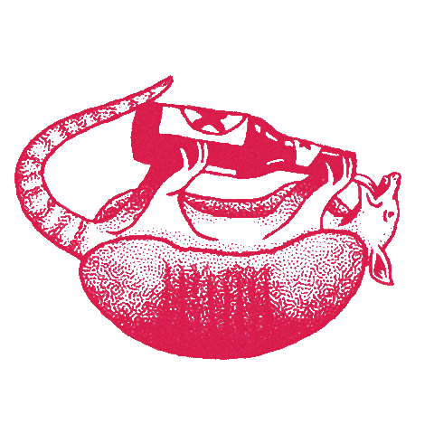 denadacantina giphyupload drink beer armadillo Sticker