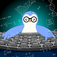 Penguin Coding GIF by Pudgy Penguins