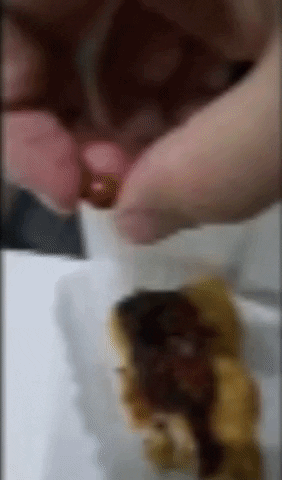 a0562ab096a24a46aad04ced9ce4af05 giphyupload GIF