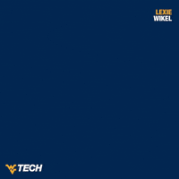 Track And Field GIF by WVU Tech Golden Bears