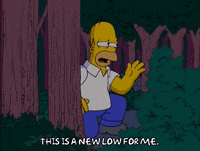 homer simpson GIF