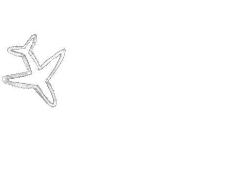 Plane Airplane Sticker by Erasmus Student Network