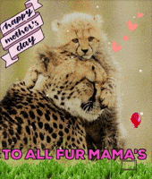 Baby Love GIF by The SOL Foundation