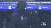 regular season baseball GIF by MLB