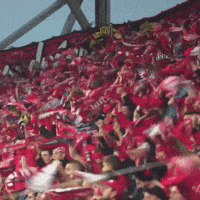 Football Soccer GIF by Widzew Łódź