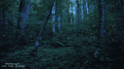 night glowing GIF by BBC Earth