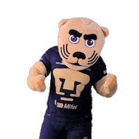 Football Sport Sticker by Pumas MX