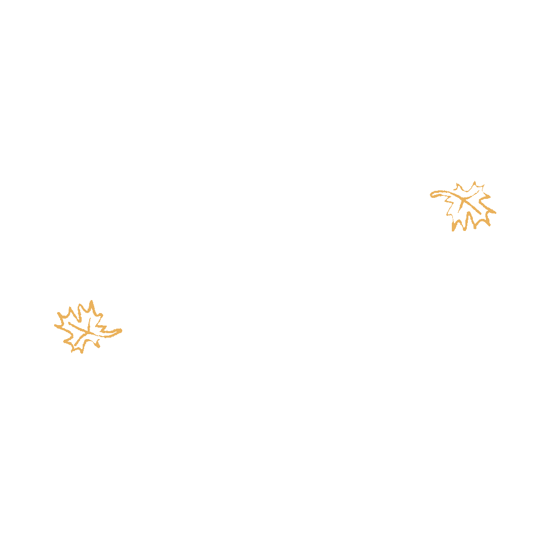 Season Autumn Sticker by John Lewis & Partners
