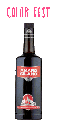 Lamezia Terme Amaro Sticker by Color Fest