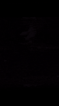 Ff Freefire GIF