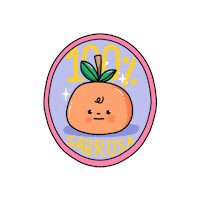 Mexico Comida Sticker