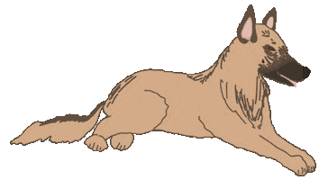 Shepherd Spazieren Sticker by zartmintdesign