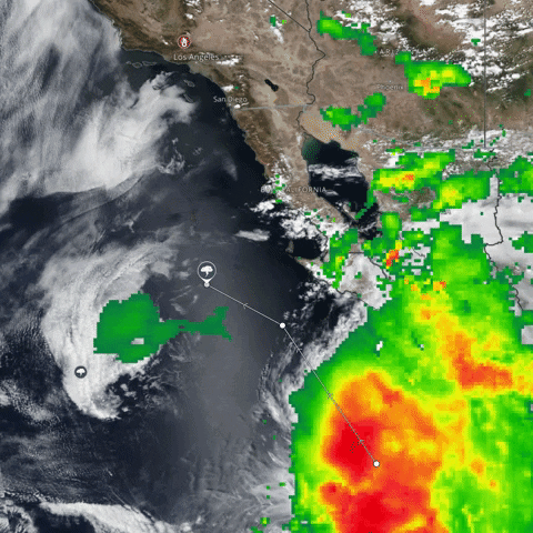 ness_mor giphyupload GIF