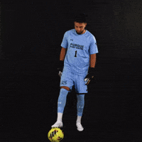 Soccer Point GIF by Purdue Fort Wayne Athletics