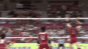 Take That Wow GIF by Volleyball World