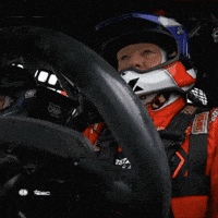 Angry Racing GIF by FIA European Rally Championship