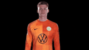 Bundesliga Reaction GIF by VfL Wolfsburg