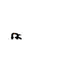 Fpvdrone Sticker by FPV Race Store
