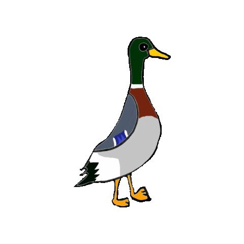 Waterfowl Runnerduck Sticker